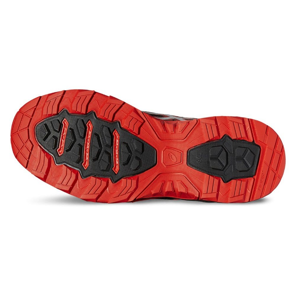 Fujitrabuco 5 gtx 2025